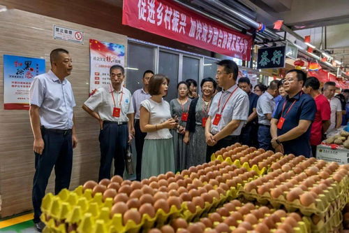 基层动态 七里河区政协视察调研七里河区市场监督管理局工作